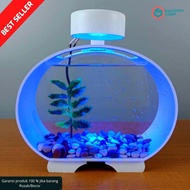 [ PROMO ] Aquarium ikan Cupang Soliter Akrilik Aquarium mini lengkap