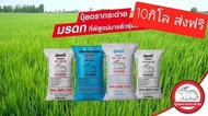 **ส่งฟรี** ปุ๋ยสูตร ปุ๋ยยูเรีย ตรากระต่าย 15-15-15 จำนวน 10 กิโลกรัมเร่งต้น เร่งใบ เร่งการเจริญเติบโ