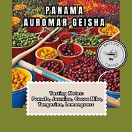 [Battuta Coffee]  Panama Auromar Geisha Coffee  - 100% Arabica Blend