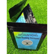 [30 g] Original Thailand Siam Rooting Hormone/Baja akar /Hormon Penggalak Akar/Keratan Batang Tut/Nusery