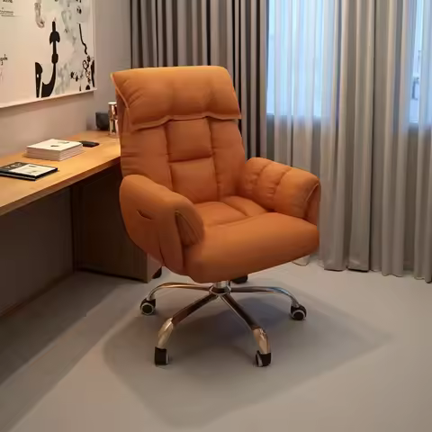Computer chair, sofa chair, lazy home, sedentary study chair, ergonomic chair, backrest, reclining d