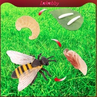 Lohobby Animal Growth Cycle Figure Puzzle Science Farm Animals Figurines Teaching Props