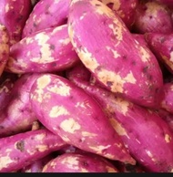 UBI JEPANG/UBI MURAH MANIS PULEN 1 KG