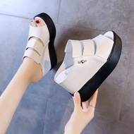 Selipar Perempuan Tinggi Kasut รองเท้าส้นสูง4.9in Perempuan โอกาส Kasut Wedges Kasut Raya Perempuan 