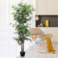 Fiddle Leaf Fig Set, Variegated Fiddle Leaf Fig, Traveler's Banana, Floor-Standing Home Decor Simula