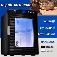 25L 12V/220V Food Fridge Warmer Cooler Refrigerator Box Thermoelectric Reptile Egg Incubator