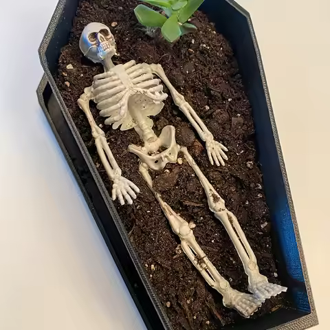 Coffin Planter | Coffin Planter with Drainage |Goth Decor | Cottagecore | Succulent Pot | Halloween 