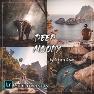 Lightroom Mobile Presets DNG File | Deep moody