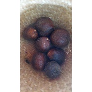 Salak Pondoh Banjarnegara