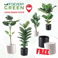 [FREE POT] Artificial Plant Minimalist Living Room Decorate Plant With Pot Snake Plant Topiary Green Tall Fake Plant