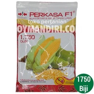 Sale Benih Jagung Manis Perkasa F1 - 1750 Butir