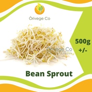 Bean Sprout / Tauge / 豆芽 -1pkt  (500g) 【Orivege Co】Fresh Vegetables