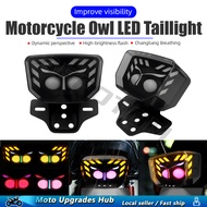 AFFOTOM Motorcycle Owl Tail Light LED Turn Signal Light For TMX125 TMX155 for CG125 CG155