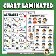 LAMINATED CHART 1 PCS SHORT BONDPAPER