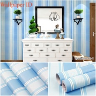 Blue Striped Wall Wallpaper 9m to 10m x 45cm