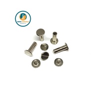 10MM DIAMETER LONG SILVER BELT SCREW BOLT