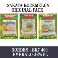 Pack 100 BIJI BENIH ROCK MELON  GORDES - SK7 409 DAN EMERALD JEWEL / ROCKMELON SAKATA  JAPAN