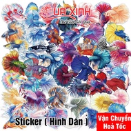 COMBO 25/50/100 Pieces Waterproof Multicolored Betta Fish Sticker for Decoration (BETTA Fish)