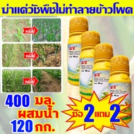 🌽เห็นผลทันที🌽 ฆ่าหญ้าข้าวโพด 100ML เข้มข้นสุด ยาชุดข้าวโพด นิโคซัลฟูรอน4%+อาทราซีน20% ยาฆ่าหญ้าข้าวโพด อัตรากำจัดวัชพืช100% ฆ่าแค่วัชพืชไม่ทำลายข้าวโพด ใช้1ครั้ง นาข้าวโพด100 ปีไม่มีวัชพืช ยาฆ่าหญ้าในข้าวโพด ยาฉีดหญ้าข้าวโพด ยาฆ่าหญ้าไร่ข้าวโพด