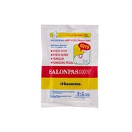 Salonpas Patch HOT 10 Sheets