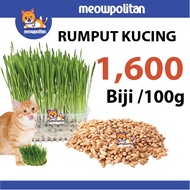 [HARGA BORONG] 100g 1600pcs Biji Benih Rumput Kucing Rumput Kucing Cat Grass Seed Se Healthy Cat Gra