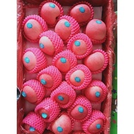 Lola Buah Segar Apel Fuji Fresh Apple 1 Kg Kualitas 1