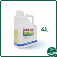 HALEX Embark 32.1 EC Racun Rumput Rumpai Bertindak Secara Sistemik 4 LITER