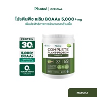 Plantae Complete Plant Protein : Active BCAAs รส Matcha กระปุก 800g : โปรตีนพืช มัทฉะ ชาเขียว
