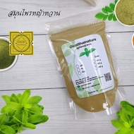 ผงหญ้าหวาน ขนาด 100 500 1000 กรัม ผงหญ้าหวานแท้100% (Stevia Powder) ทำสบู่ สครับ ขัดผิว พอกผิว ลดควา