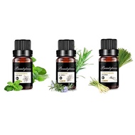 Beautytrees Aroma Oil Set of 3 Essential Oil Essential Oil Natural Material Natural Scent Peppermint/Lemongrass/Rosemary Aroma Stone for Diffuser Massage Bath Humidifier Gift 10ml x 3pcs