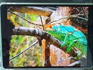 Apple iPad Air 3 with Apple Pencil