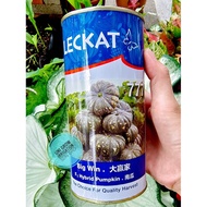 (200gm) +-1500 Biji F1 Big Win 777 Labu Manis Benih Leckat / Pumpkin
