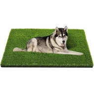 Artificial Grass, Professional Dog Grass Mat, Potty Training Rug and Replacement Turf Outdoor Rug Pa