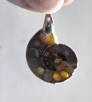 Natural Crystal Ammonite Fossil Pendant 天然水晶 斑彩螺 顺风螺吊坠