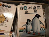 【雜貨小社】自然科學/透明片 理科第一個發現~【61 --企鵝】滿700打九折，A24
