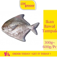 A0552 - Ikan Bawal Tambak - 300g~600g/Pc