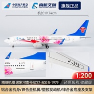 Nanhang Cultural Creative Airplane Model Boeing B737 Henan Homes High-Precision Collectible Model 1: