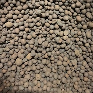 【 🇸🇬 SG Stock 】10L 3L LECA Clay Balls For Hydroponics Ball Size: 0.5cm - 1.0cm Hydrogran Leca Hydro Clay Lecca Clay Hydroponic Pebbles also known as Lightweight Expanded Clay Aggregates