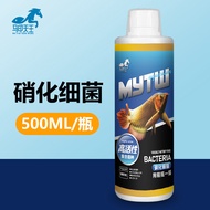 Nitrification Bacteria Fish Tank Purification Water Quality Decomposition Ammonia Nitrogen Horse Sea