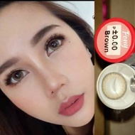 คอนแทคเลนส์ Pitchy lens รุ่น pony เทา น้ำตาล