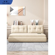 Living Room Sofa Bed Dual-Use Red-Free Armrest Net 2025 Pumping Style Pull Bed New Style Small Apart