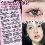9cc Natural Yuan ace Hand Towel False Eyelashes Trilogy English Girl Group remai#分擦段式仿真胶爱款张豆同免 YYQZ