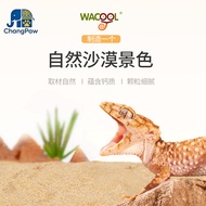 Desert Breeding Box by WACOOL - Calcium Sand Laying Box for Tortoises, Geckos & Lizards