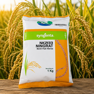(5kg) Bibit Padi Hibrida NK2133 Ningrat Original Sygenta