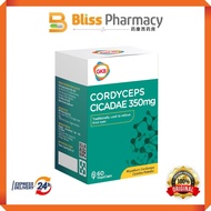[Bliss Pharmacy] GKB Cordyceps Cicadae (60s) | Eye Supplement Eye Supplement for Vision