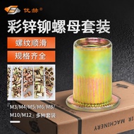 Color Zinc Rivet Nut Flat Head Rivet Nut Rivet Rod Rivet Screw Rivet Nut Gun Head Simple Tool 6AQZ