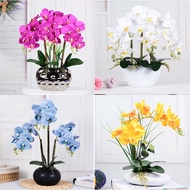 [SG SELLER]Artificial plant orchid  artificial orchid Flower Home Office Party Wedding festival Decoration Fake Flower