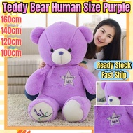 (Free Shipping)140/160cm Purple Teddy bear Human size cute teddy bear human size 100cm teddy bear hu