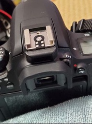 camera dslr 追星神器 巴士迷 Canon 77d 18-55mm