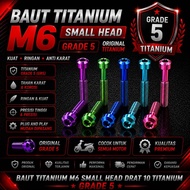 Titanium Bolt Small Head m6 (Thread 10) Grade 5 Titanium Material Ti-6Al-4V
